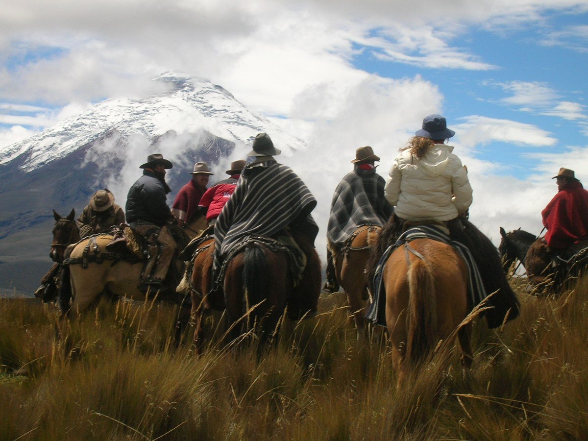 Andean Highlands