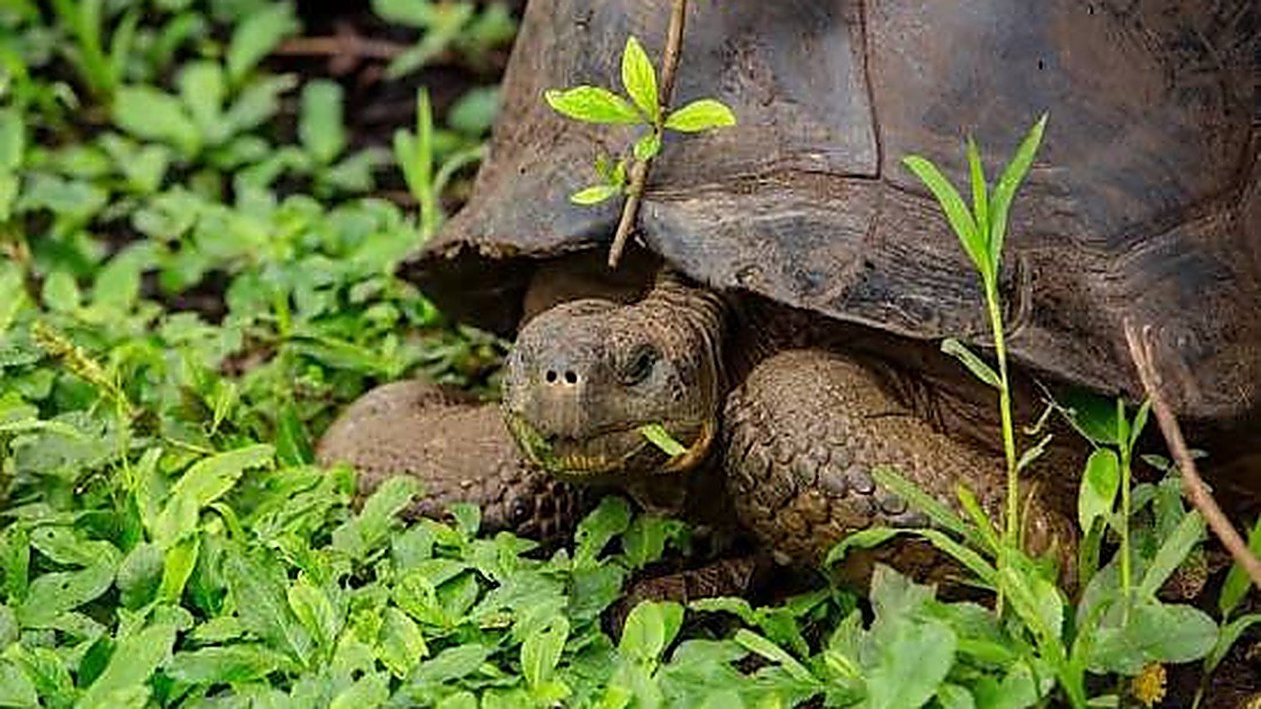 M/V Galápagos Legend · 4 Days / 3 Nights