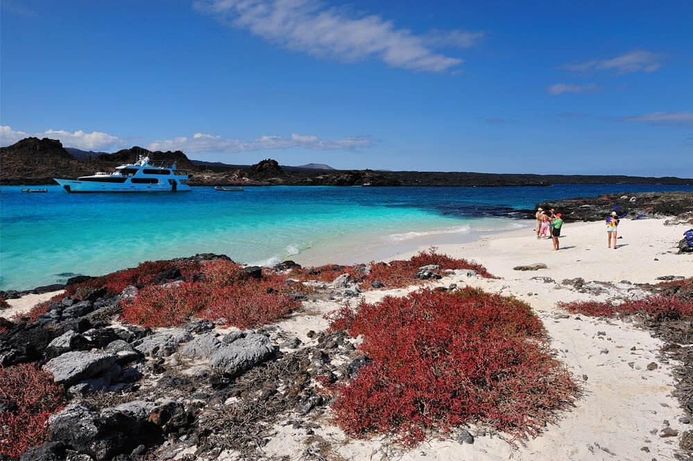 Galápagos Islands