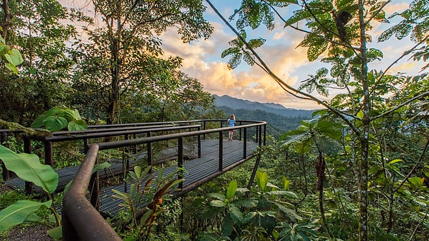 Mashpi Lodge · 3 Days / 2 Nights