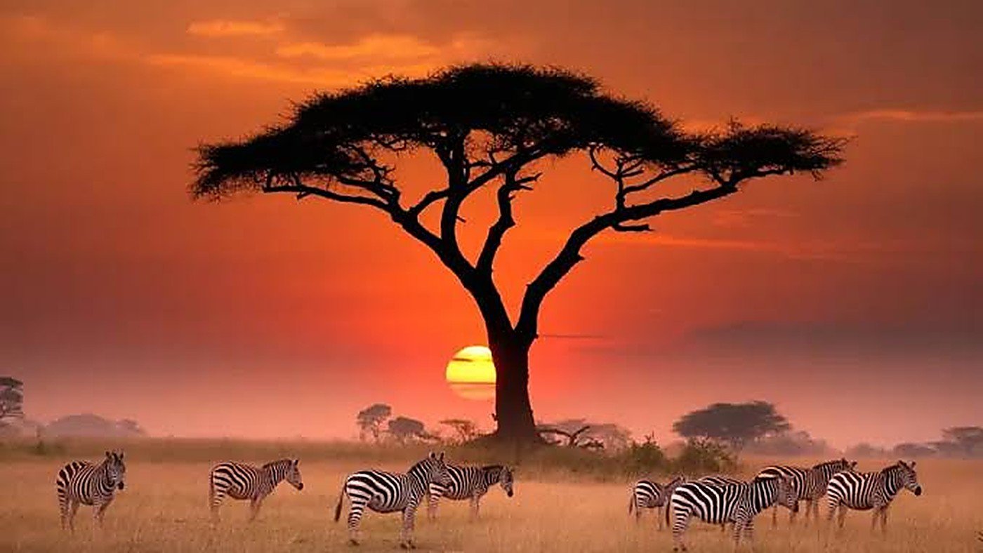 The Great Migration: Safari Tanzania · 8 Days / 7 Nights