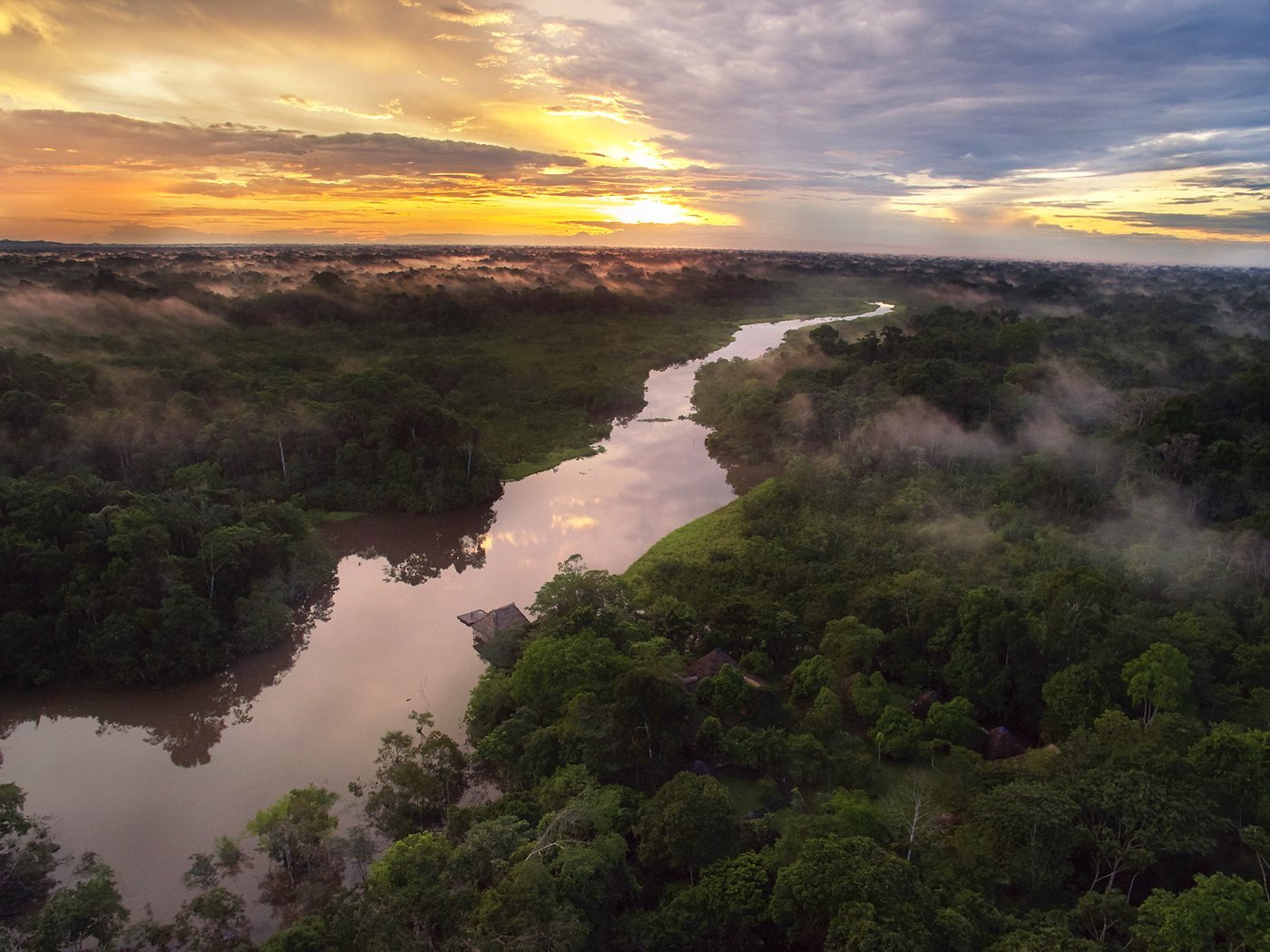 The Napo river at first light