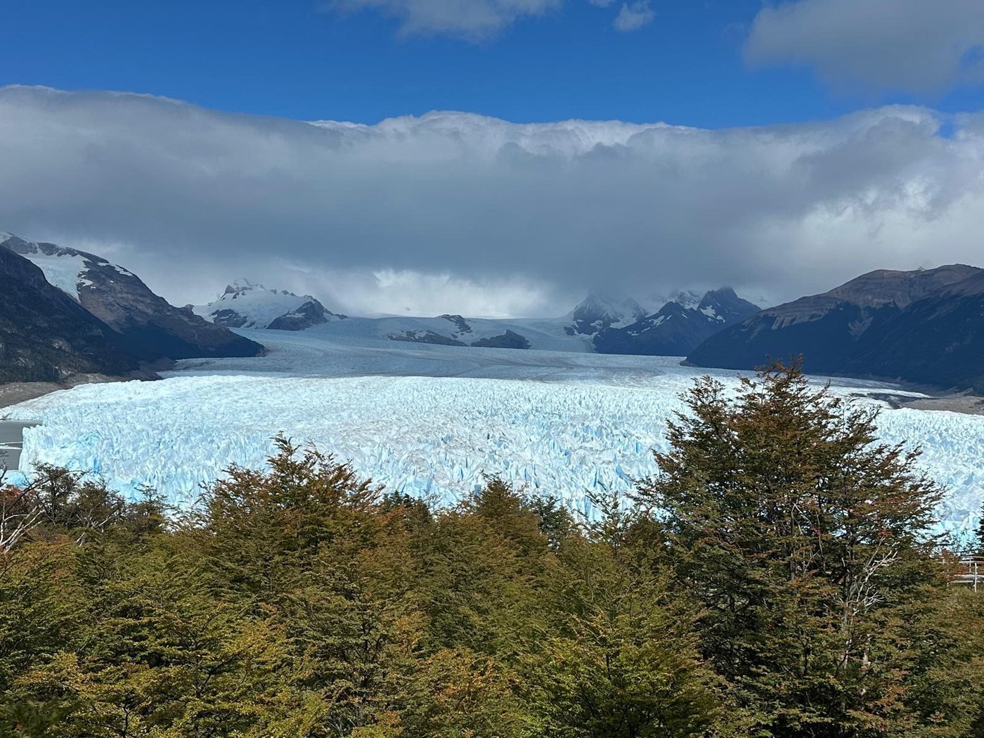 Glaciers and southern forest