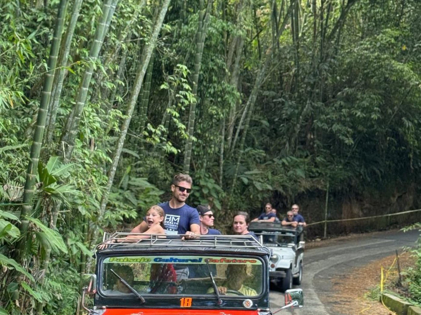 Willys jeeps of the coffee region