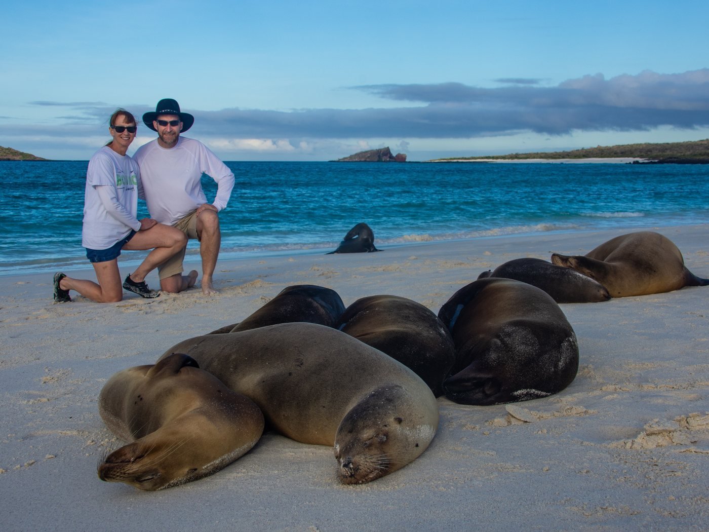 Sea lions on Gardner Bay