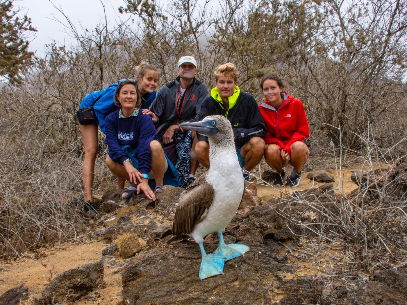 Blue-footed booby encounter