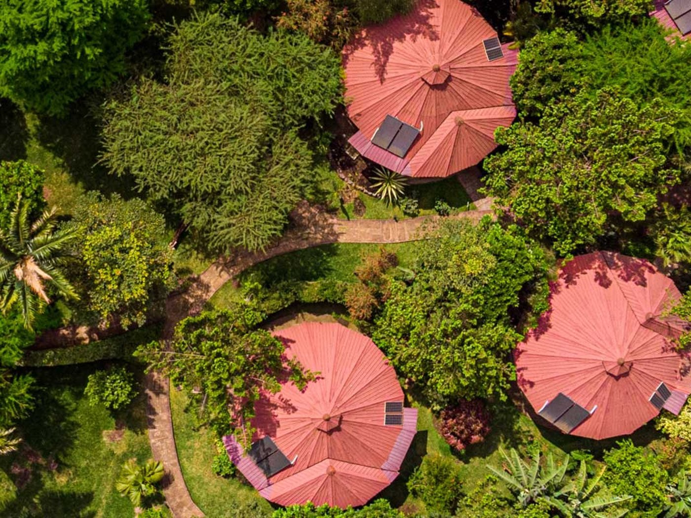 Safari lodge from above