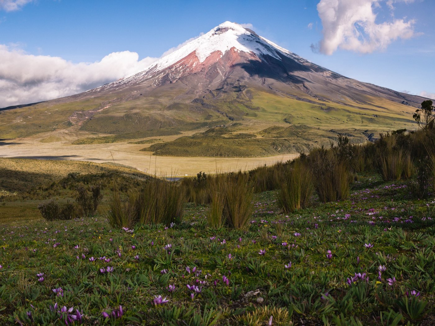 Cotopaxi volcano