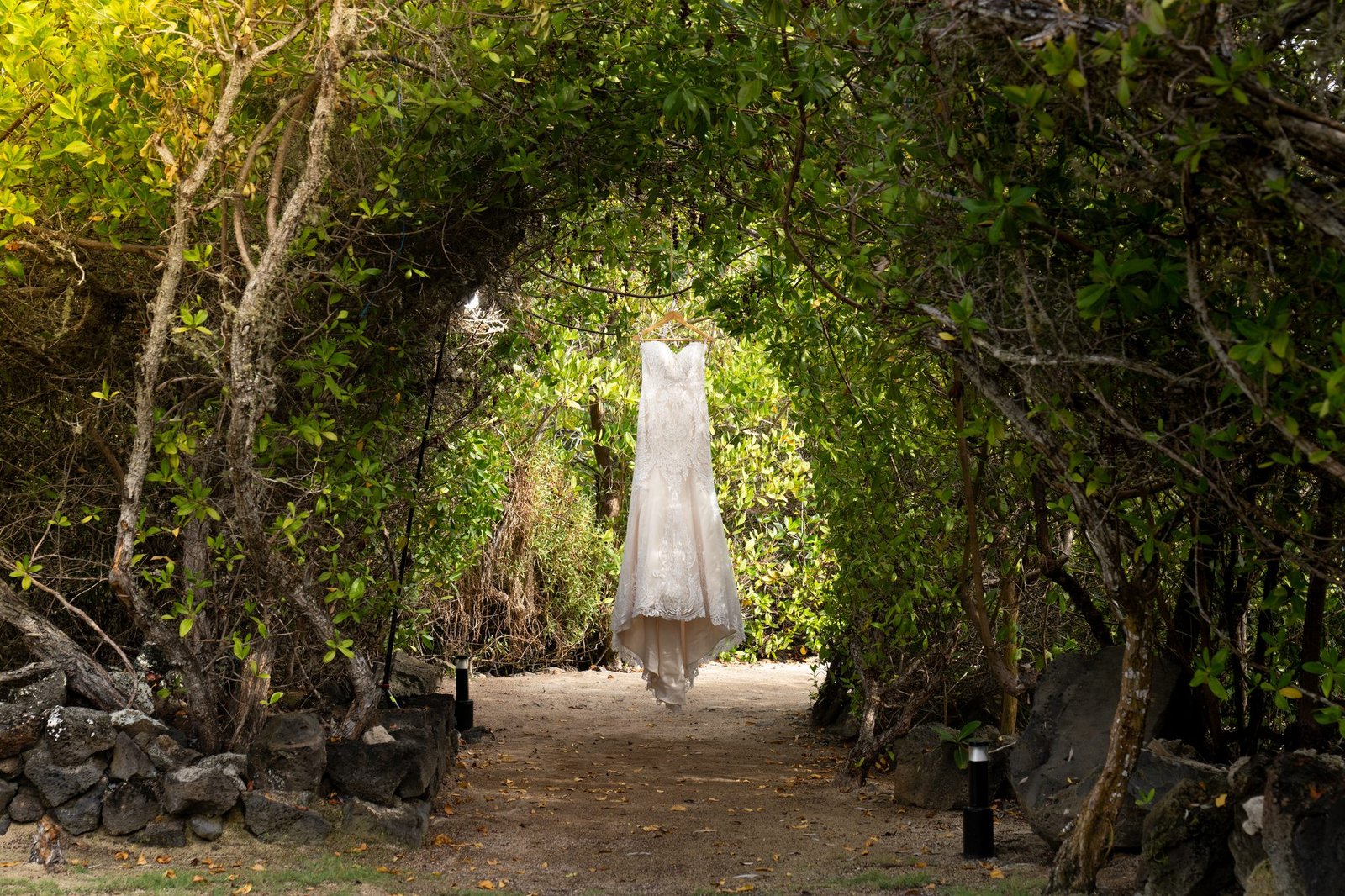 Wedding dress hanging on a coastal trail in the Galapagos